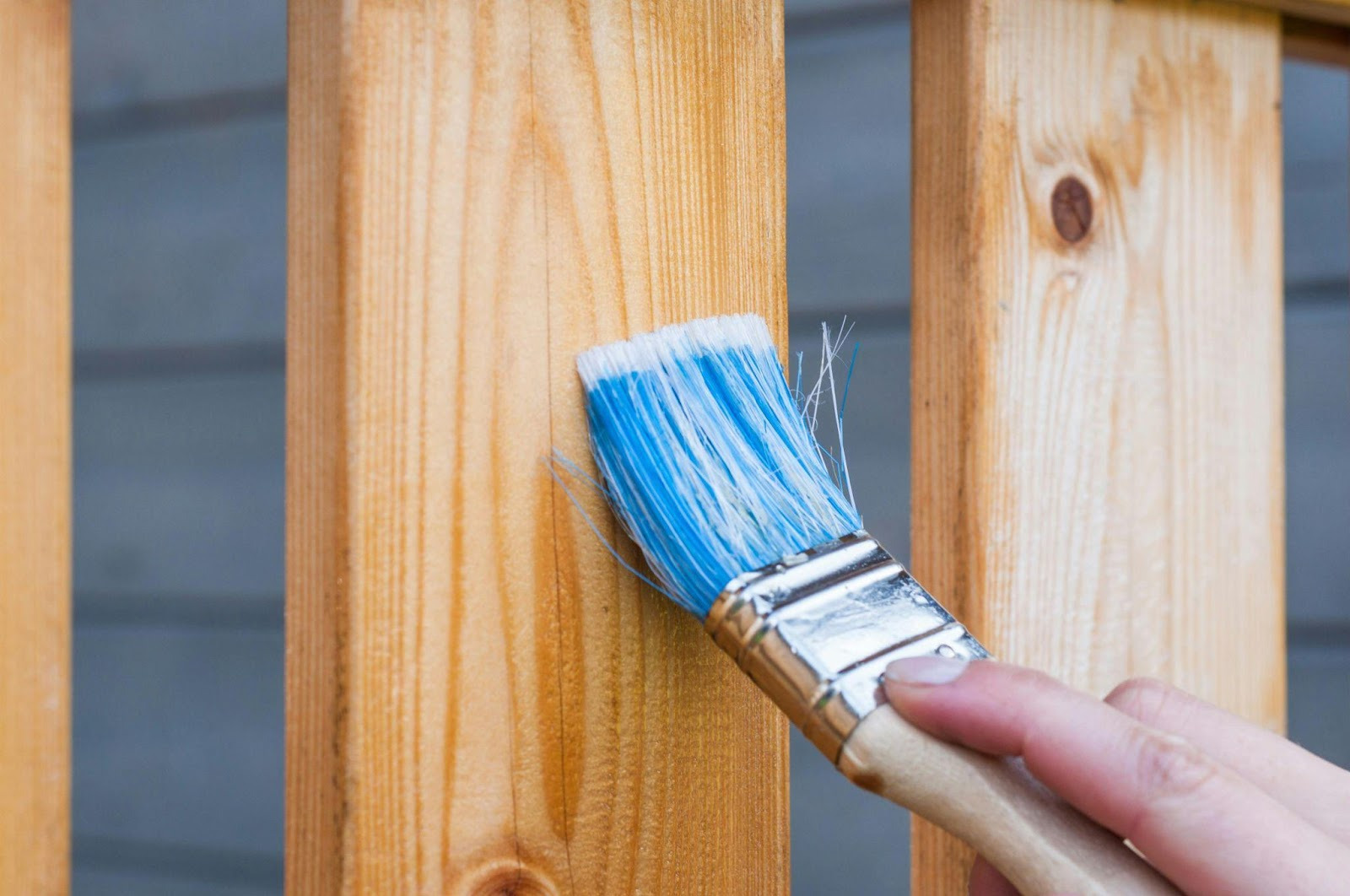 A hand holds a blue paintbrush, applying a light varnish to smooth, vertical wooden planks. Background is blurred, focusing on the painting process.
