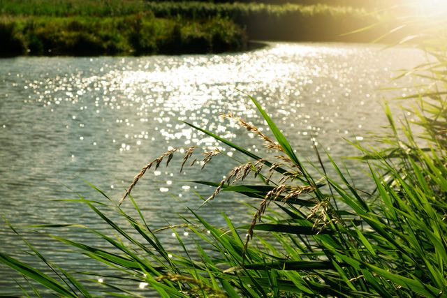 river-view