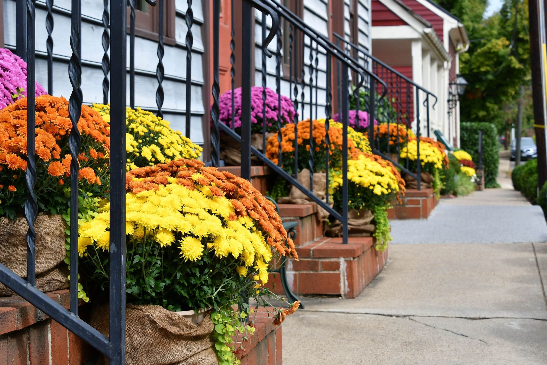 Improve Curb Appeal