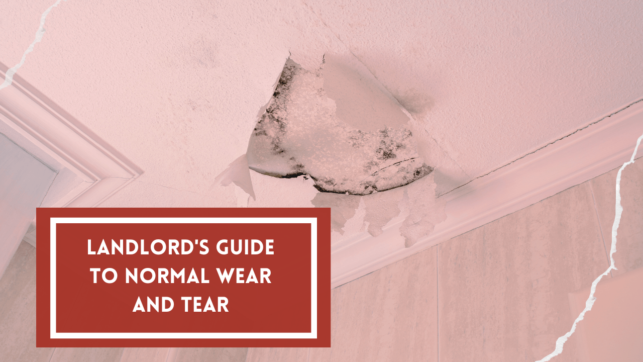 Landlord's Guide to Normal Wear and Tear